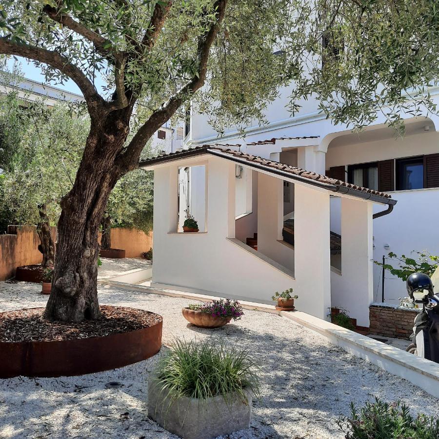 Apartmani Dorijana Vrsar Exteriér fotografie